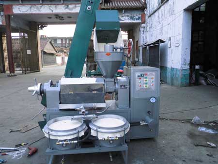 雙象榨油機 雙象榨油機